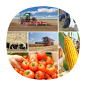 Сільгосппродукція